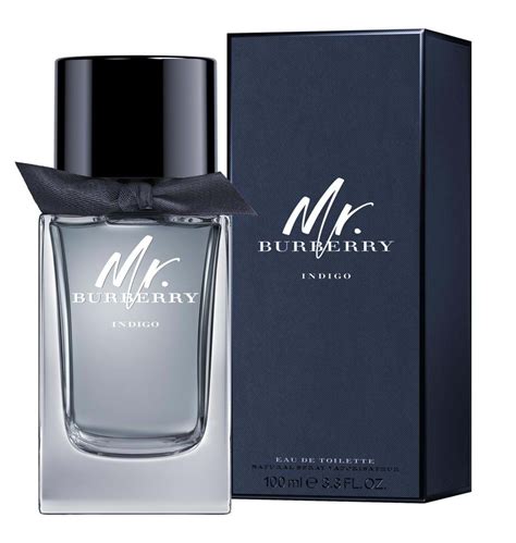 mr burberry profumoi|burberry cologne for men.